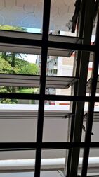 Blk 113 Toa Payoh North (Toa Payoh), HDB 3 Rooms #539042791